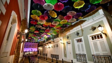 assorted coloured umbrellas hanging near buildings